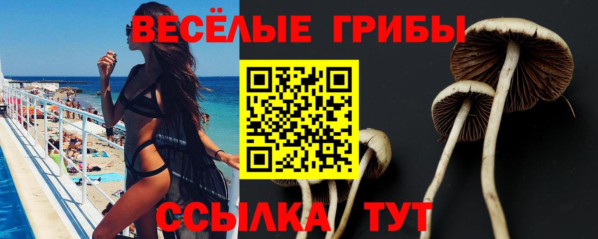 Псилоцибиновые грибы прущие грибы Кумертау